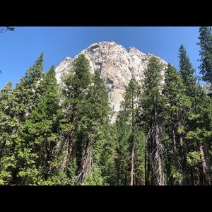 Meet your Posher, Sam